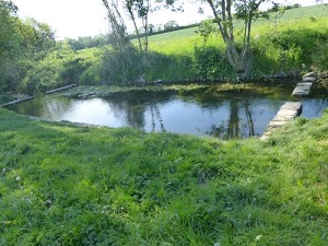 Lavoir à Benon